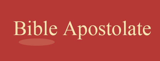 BibleApostolate